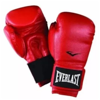 Everlast Boxing Gloves