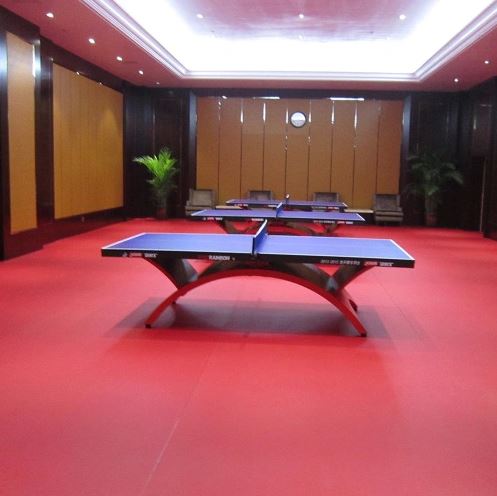 Enlio Y-14155S 5.5mm Table Tennis Court Mat (Warranty: 5yrs) - Image 3