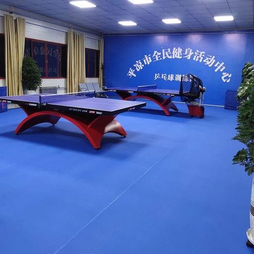 Alite A-14150 5mm Table Tennis Court Mat (Warranty: 2.5yrs) - Image 3